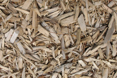 biomass boilers Etsell